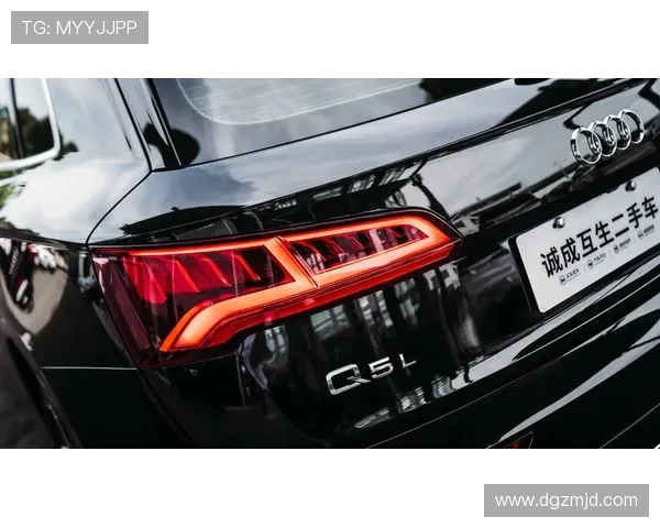 2.0T、四驱，蜂窝格栅，红色卡钳，贯穿式尾灯，全新奥迪Q5L来了！